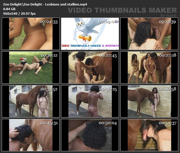 cachorro gozando fodas com animais pinto de cavalo Filme pornô de zoofilia com uma mulher indiana Cachorro dá um nó na buceta da e engata o pinto até gozar O javali gozador na buceta da garota nova zoofilia selvagem
